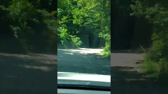 Гостевой комплекс Инал. Подъезд на авто. смотреть онлайн