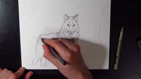 Рисование волка 2 линёр | Painting wolf 2 liner
