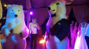 Белый Медведь на свадьбе