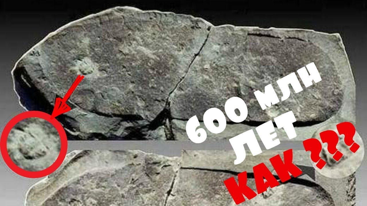 5 ГОЛОВОЛОМОК В АРХЕОЛОГИИ смотреть онлайн