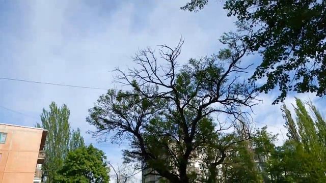 ОРДЖО 4.2 Покров Небо май 2019 Днепропетровская обл смотреть онлайн