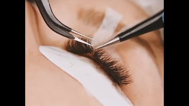 O-lash beauty смотреть онлайн