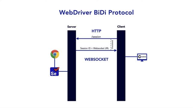 WebDriver BiDi Protocol | Codoid смотреть онлайн