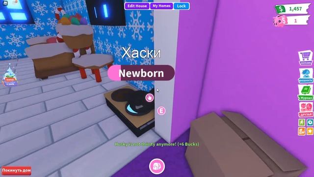 Купил ЩЕНКА ХАСКИ и много ПОДАРКОВ! АДОПТ МИ Играю в РОБЛОКС Roblox ADOPT ME смотреть онлайн