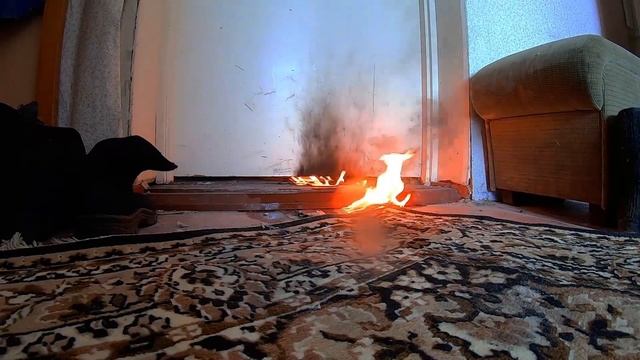 Семинар дознавателей смотреть онлайн