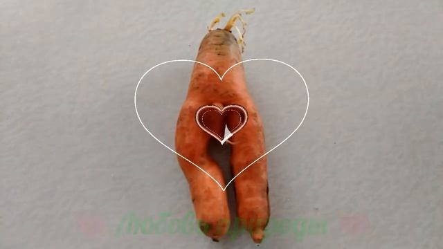 Шутки природы - МорквМен смотреть онлайн