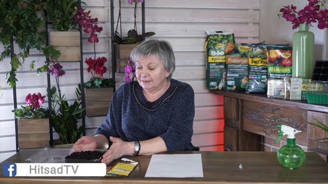 Бакопа выращивание из семян ? Посев Бакопы 2020 смотреть онлайн