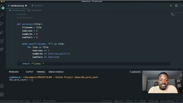 Python Word Count Project Idea For beginners смотреть онлайн