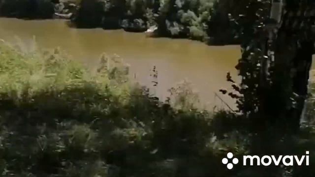 Смог найти выход из лесного закулисья(часть3) смотреть онлайн