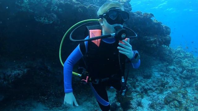 Мальдивы, дайвинг, South Malé Atoll, лангусты, гласс-фиши смотреть онлайн