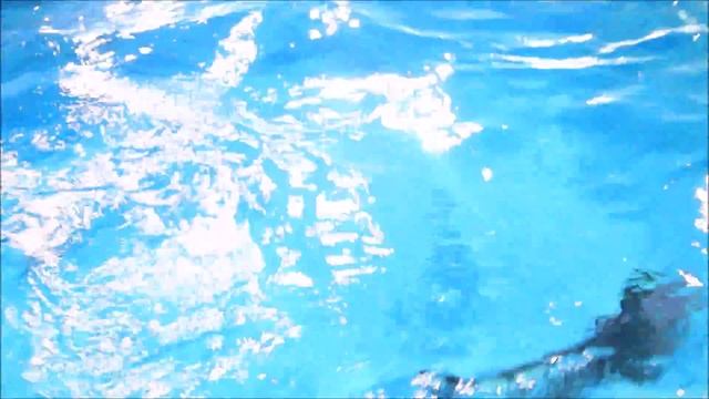 Новорожденный дельфиненок смотреть онлайн