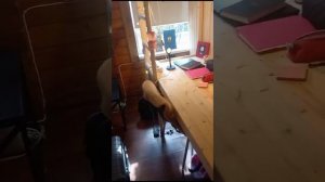 Индивидуальная секция