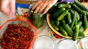 Заготовки на зиму. Огурцы с красной смородиной