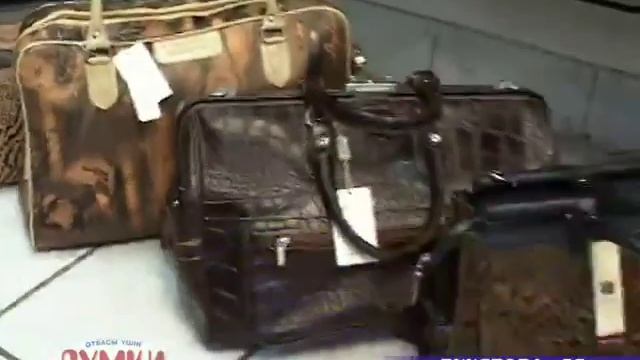 Дорожные сумки и чемоданы смотреть онлайн