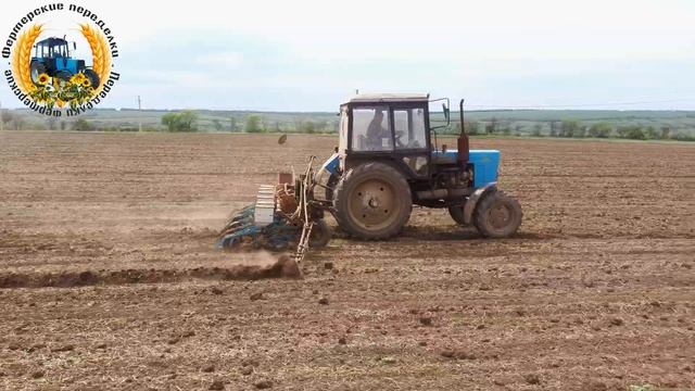 Поздний посев подсолнечника 2021. МТЗ 82 с СУПН 6 на посеве. смотреть онлайн