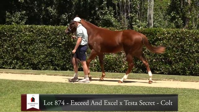 Newhaven LOT 874 EXCEED AND EXCEL X TESTA SECRET - C смотреть онлайн