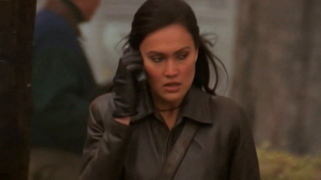 Tia Carrere VS the cat burglar! смотреть онлайн