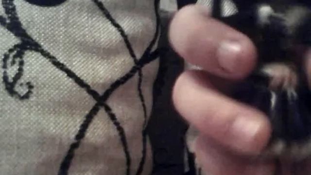 маленькие куклы монстер хай клодин и клео смотреть онлайн