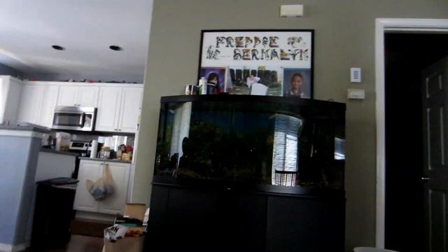 Green Element evo quad 3W LED unboxing смотреть онлайн