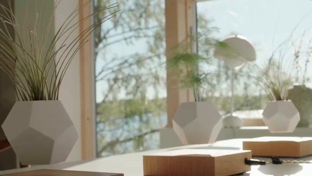 Decorora™ Levitating Plant смотреть онлайн