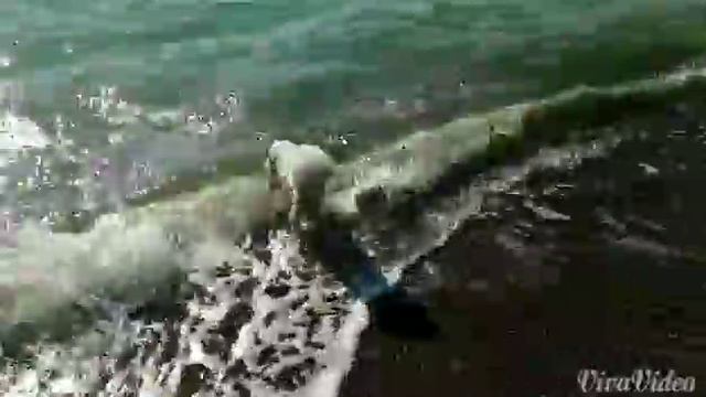 Герда первый раз у моря смотреть онлайн