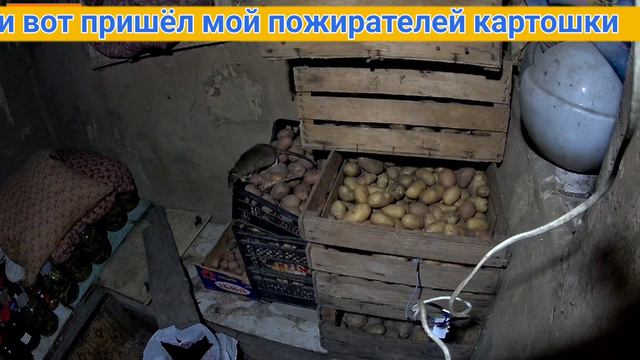 Теперь Я знаю врага/ Ночная съёмка с видеорегистратора/ серия 4 смотреть онлайн