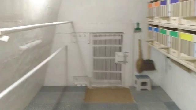 Голубятня после реновации