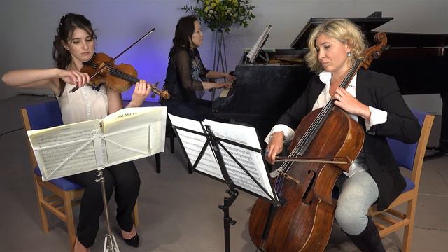 Nocturne M. Glinka - ViEtTa Trio