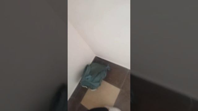 Это как я в школе ждала СЛП. Мне которой не чего заняться. ???????????? смотреть онлайн