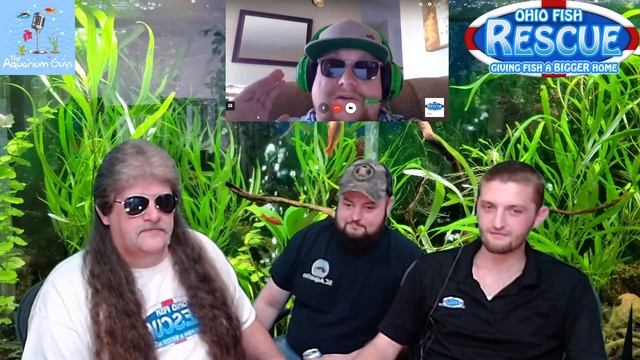 Stay Fishy Friday 4/17/20 w/Robbz from aquarium guys podcast #teamtracy смотреть онлайн