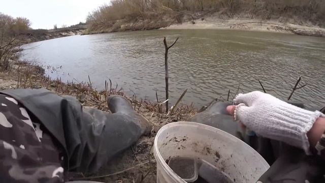 ОДНИМ СЛОВОМ СКАЗКА! РЕКА ДОНКА И АКТИВНЫЙ КЛЁВ РЫБЫ! Рыбалка на донку 2023. смотреть онлайн