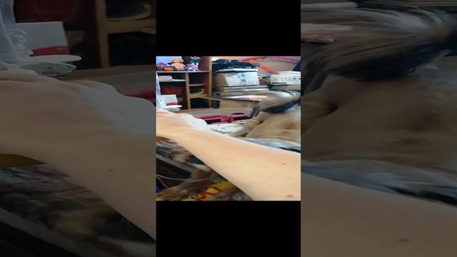 Масечка требует внимания