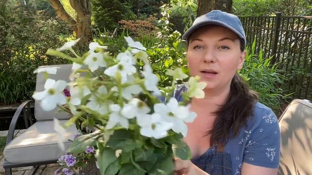 🌸 Planting Michael's Windowbox - Lots of Plants 🌸 смотреть онлайн