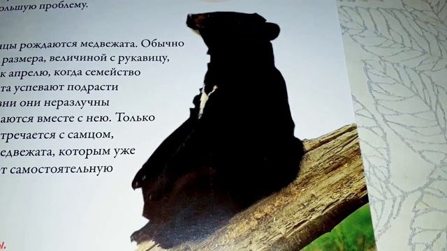 Моя страна Собери Карту России от Hachette Выпуск № 80/ My country Collect the Map of Russia смотреть онлайн