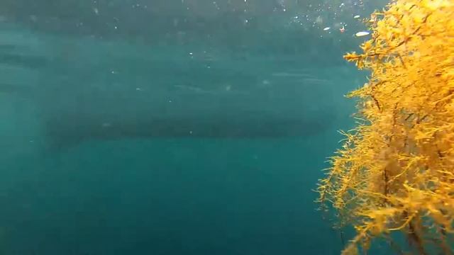 Гипероглиф 2015