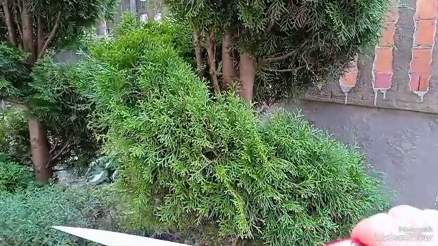6 нужных качественных инструментов для сада и огорода смотреть онлайн
