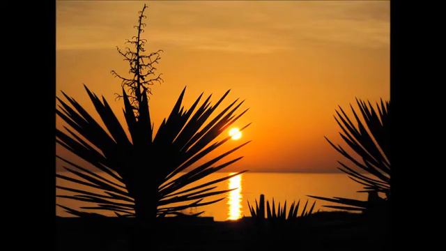 Amanecer en La Mata смотреть онлайн