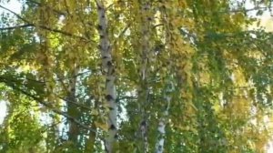 Природа Казахстана, красивые места