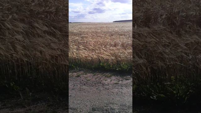 Покатушки в Деревушку Леоновичи смотреть онлайн