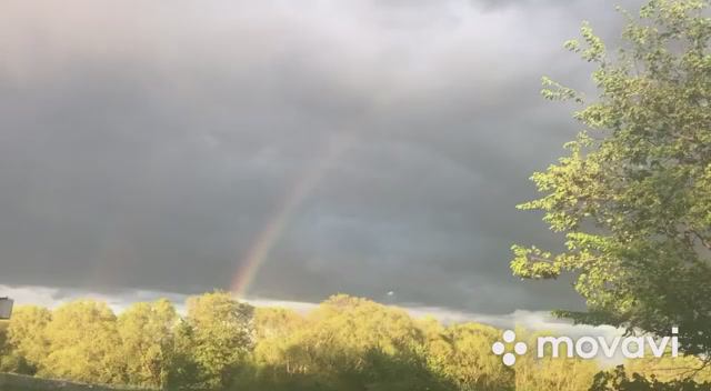 Дмитрий TV. Клип Радуга. Музыка Сергея Чекалина. смотреть онлайн