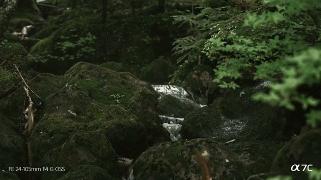 Sample Video Alpha 7C Sony α смотреть онлайн
