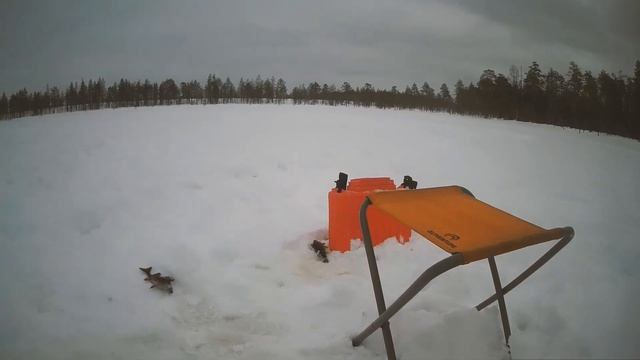 НА СНЕГОХОДАХ НА ОЗЁРА смотреть онлайн