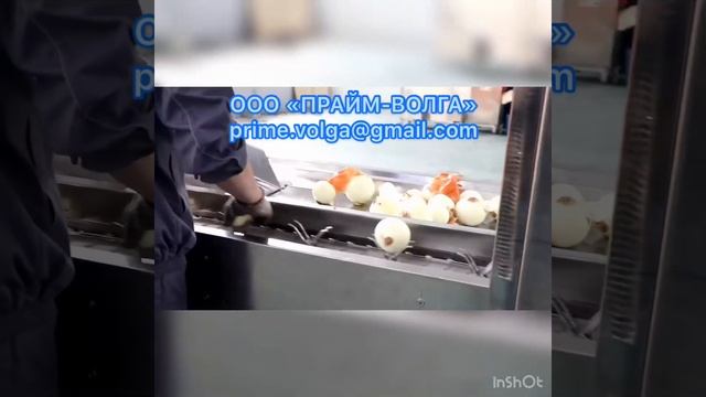 Лукочистка пневматическая смотреть онлайн