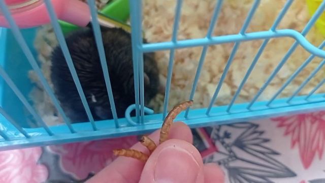 Психологические Техники и Методы