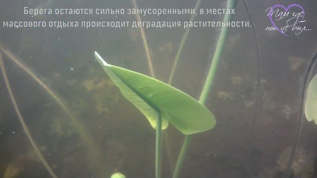 "Рубское" озеро смотреть онлайн