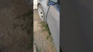 Ниссан ноут. Пропало сцепление ч1.