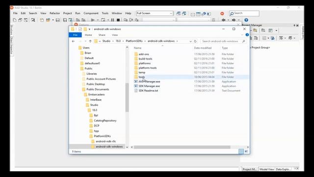 Debug logging in FireMonkey apps (Delphi) with Brian Long - CodeRage XI смотреть онлайн