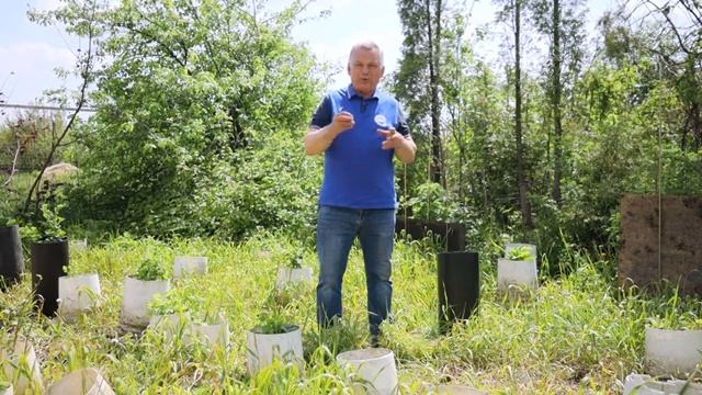 Как ЛЕГКО избавиться от СОРНЯКОВ? Эффективное средство в борьбе с сорняками смотреть онлайн