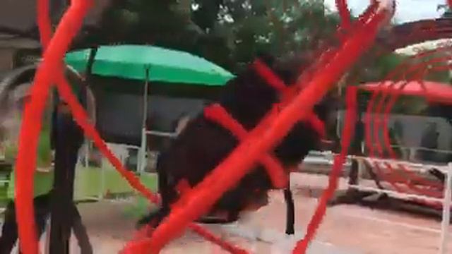 Гироскоп, Перевернутый Дом в Паттайе смотреть онлайн