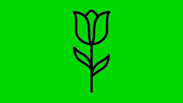 Animated Tulip Icon on Green Screen With Pop-up Sound смотреть онлайн